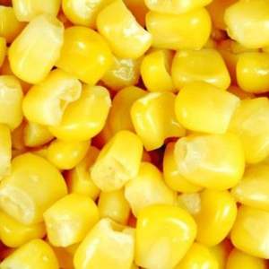 Maïs sucré en conserve en saumure fraîchement emballé Premium - Product Image 1