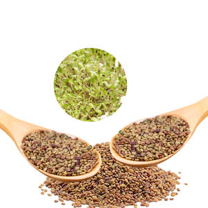 Luzerne | Nutrition sèche à base de plantes | Formule à haute teneur en protéines - Product Image 1