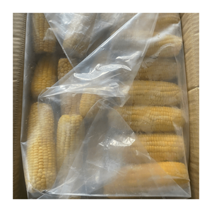 Maïs jaune sans OGM/maïs sucré/maïs jaune à vendre en vrac de haute qualité du Vietnam - Product Image 6