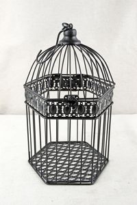 Jaula de hierro Premium para pájaros con bordes redondeados lisos, pintura no tóxica, resistente a la intemperie y diseño atractivo - Product Image 2