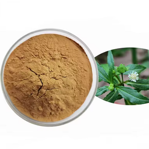 Extracto de Eclipta Prostrata Alba en Polvo Herbal (Falsa Margarita) en Envase de Tambor, Venta Caliente del Fabricante - Product Image 1
