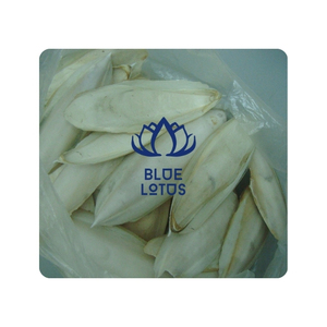 Os de seiche de qualité fiable pour l'enrichissement des cages à oiseaux et calcium pur durable pour les stocks professionnels de magasins d'animaux - Product Image 1