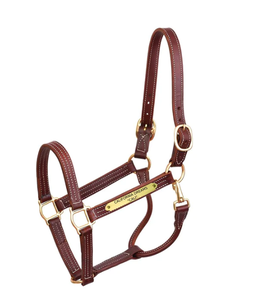 Halter professionnel en cuir avec plaque licou de cheval licou de cheval western avec peu plié - Product Image 3