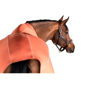 Couvertures d'équitation en nylon légères de haute qualité personnalisées et confortables pour l'équitation de dressage Différentes couleurs Tailles personnalisées - Product Image 6