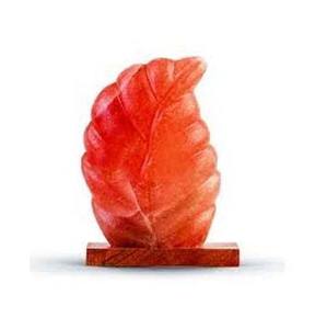 Lampes de sel de l'Himalaya en forme de feuille raffinée emballée dans un sachet de bouteille de sac - Product Image 5