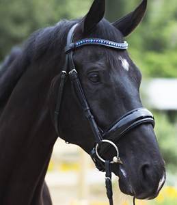 บังเหียนหนังงูม้าแฟชั่นคุณภาพสูง - Product Image 4