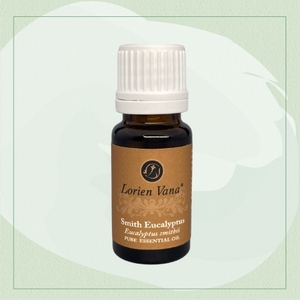 Huile essentielle d'eucalyptus de qualité thérapeutique pure à 100% Smith - Product Image 1