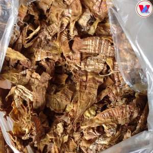 Pousses de bambou naturel pousses de bambou du Vietnam propres et prêtes à l'exportation - Product Image 5