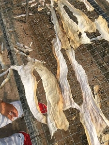 ข้อเสนอสุดพิเศษสำหรับผิวปลาที่มีถุงขนาดใหญ่จากผู้จัดจำหน่ายทองคำ99รายจากเวียดนามที่มีคุณภาพสำหรับโภชนาการธรรมชาติและสุขภาพผิว! - Product Image 6