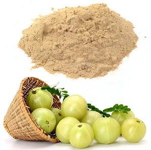Polvo de grado alimenticio de extracto de Amla orgánico certificado Embalaje de bolsa de ingrediente activo solvente de hesperidina de cítricos a base de hierbas de alta calidad - Product Image 1