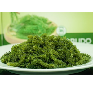 องุ่นทะเลสาหร่ายสีเขียวคาเวียร์สำหรับพ่อครัวเชิงพาณิชย์ห้องครัวและซัพพลายเออร์อาหาร - Product Image 5