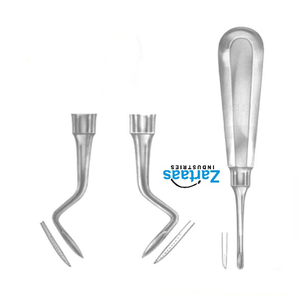 Elevadores de Raíces de Acero Inoxidable de Alta Calidad FLOHR fig 1 Fabricante y Exportador de Instrumentos Dentales - Product Image 6