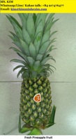 Verse Koningin Ananas Fruit-Pk 0084 917 476 477