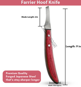 มาใหม่ล่าสุดมีดกีบป้องกันสนิมใบมีดเหล็กตัดแต่งได้อย่างแม่นยำทำความสะอาดกบด้ามไม้สีรุ้งยาว - Product Image 2