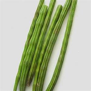 Graines de Moringa Oleifera Séchées Biologiques d'Autriche pour Usages Médicaux, Industriels et Cosmétiques Durée de Conservation de 2 Ans pour l'Exportation - Product Image 1