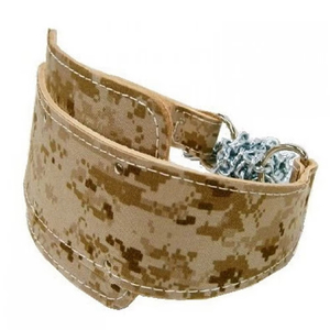 Cinturón de Peso para Ejercicios de Gimnasio, Cinturón de Sentadillas con Cadena de Acero, Cinturón de Nylon para Levantamiento de Pesas, Fitness y Ejercicio - Product Image 1