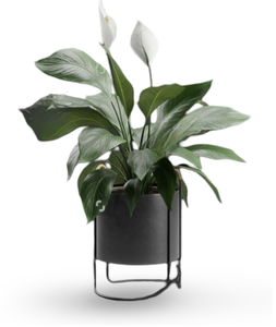 Vase de sol Art Déco en aluminium moulé à la main de qualité supérieure pour la décoration de la maison et du jardin, écologique et résistant à la rouille - Product Image 4