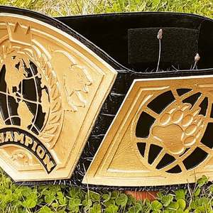 Ceinture de championnat de lutte personnalisée professionnelle, design léger en métal, couleur et taille personnalisées, nom et logo personnalisés, marque personnalisée - Product Image 2