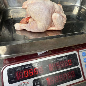 ไก่แช่แข็งฮาลาลทั้งตัวราคาถูกขาย - Product Image 1