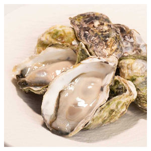 Viande d'huîtres japonaises de qualité export (huîtres Kaki d'élevage avec coquille) Emballage en vrac de 25 kg pour la revente en gros - Product Image 3