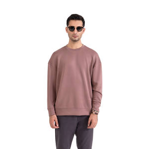 Sweat-shirts d'hiver surdimensionnés à col rond pour hommes, personnalisables avec logo, en molleton de coton épais et écologique 300g, doublés, OEM, vente en gros - Product Image 1