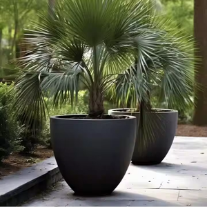 Pot de fleur en fibre de verre de qualité supérieure, élégant, design classique, adapté à l'intérieur, à l'extérieur, au sol, à la décoration de jardin. - Product Image 5