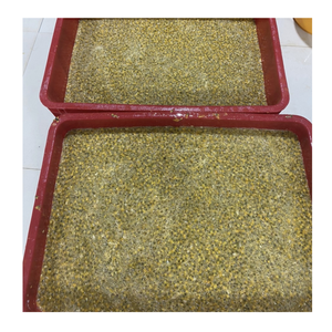 Fruit de la passion congelé produit par l'exportateur vietnamien 99 données d'or avec emballage flexible et options de livraison dans le monde entier - Product Image 3