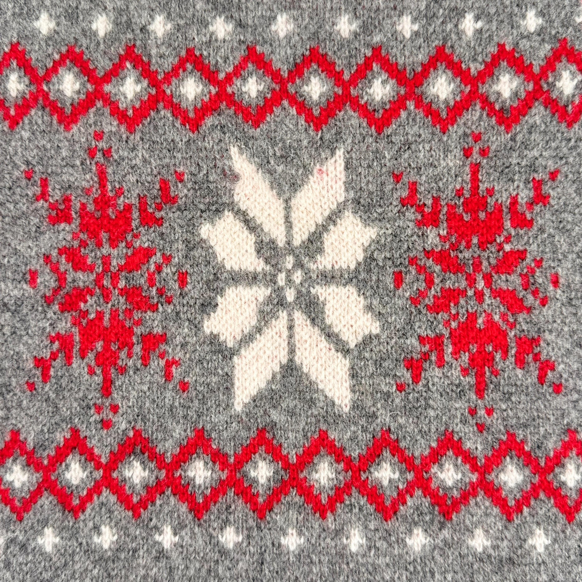 ทุ่งหญ้าสีเทา