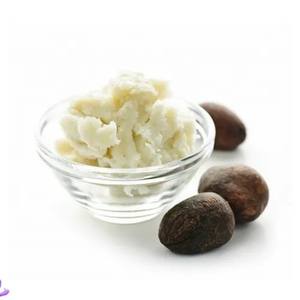 Exportateur de beurre de Kokum naturel à usage cosmétique de qualité supérieure dans le monde entier Fabrication depuis l'Inde - Product Image 2