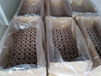 Fournitures de jardin écologiques Granulés de tourbe de coco | Disque de coco | Bloc de tourbe de coco | Kit de démarrage de semences avec granulés de terreau du Vietnam