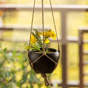Top Selling Customized Modern Metal <b>Planters</b> <b>Gold</b> Farmhouse <b>Planter</b> for Home Garden Decoration Size Shape Color Options - Product Image 6