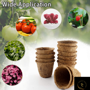 Pots de démarrage de graines de coco biodégradables biologiques de haute qualité Pots de pépinière d'origine indienne pour les semis d'herbes de germination - Product Image 3