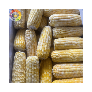 100% granos de mazorca enteros procesados IQF de maíz dulce congelado de maíz joven para pedidos a granel de la industria alimentaria de calidad superior - Product Image 4