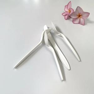 Nuevo juego de cubiertos Premium de alta calidad, cubiertos de PP, cubiertos de plástico económicos, seguridad alimentaria y durabilidad desechables - Product Image 6