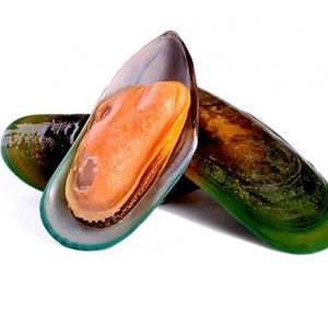 Mariscos Congelados de Primera Calidad, Mejillones con Concha, Proceso de Congelación BQF, 20 kg, Stock al por Mayor a Precio Económico - Product Image 2