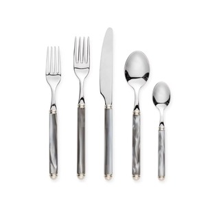 Top Design Poignée Couleur Argent Plaqué Couverts En Acier Inoxydable Lave-Vaisselle Couverts Pour La Maison Restaurant Hôtel Utilisation Ensemble De 5 - Product Image 5