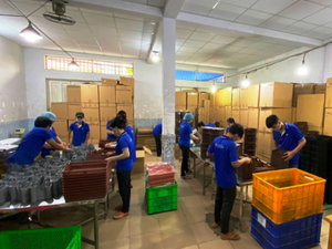 Panier de rangement en plastique de qualité supérieure avec un beau motif et une poignée écologique pour le service OEM de décoration de la maison du VIET NAM - Product Image 6