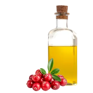 Huile de pépins de canneberge en gros OEM, huile de canneberge pure non raffinée pressée à froid en vrac pour la peau, les cheveux et les formulations cosmétiques - Product Image 1
