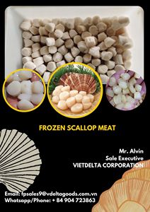 Carne de vieiras de congelación 2022, producto en oferta, carne fresca de alta calidad, para mariscos de Vietnam, para vacaciones - Product Image 6