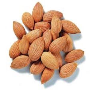Best <b>Price</b> Good Tast Apricot Kernel Bitter and Sweet Apricot Kernels Nuts for Sale - Product Image 4