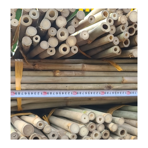 Material de postes de bambú natural con muchos tamaños para la construcción-Venta al por mayor de poste de Bambú - Product Image 1