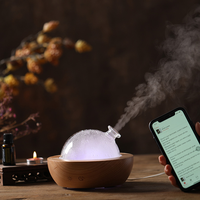 Diffuseur d'arômes ultrasonique à brume fraîche en bois, fabricant professionnel OEM, produits naturels pour la maison