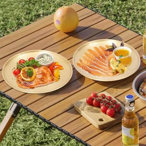 Plato de metal para servir la cena, el almuerzo o los aperitivos, superficie lisa fuerte, perfecto para el hogar, el hotel y la restauración. - Product Image 1