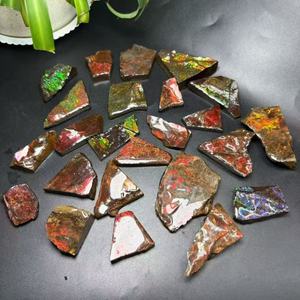 Fósil de Amonita Canadiense Real al por Mayor, Ammolita Cruda Colorida, Espécimen de Piedra Preciosa, Fósil de Vida Marina Antigua Natural de Canadá - Product Image 6