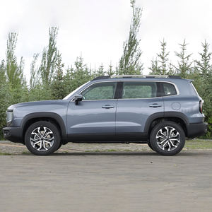 Ridever Haval Dargo 2024 2.0T DCT中国牧犬版新车待售中国畅销俄罗斯特价 - Product Image 4