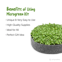 2023 Kit de jardinage d'intérieur personnalisé plateau de microgreens en plastique dégradable pour la culture de plantes hydroponiques végétales pour la pépinière