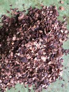 Anacardos en venta de 1 - 10 mm tamaño natural al por mayor cáscara de anacardos crudos de Vietnam para exportación - Product Image 3