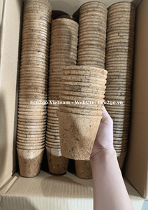 Macetas Ecológicas de Fibra de Coco/ Macetas de Fibra de Coco/ Macetas de Coco de Eco2go Vietnam - Product Image 6