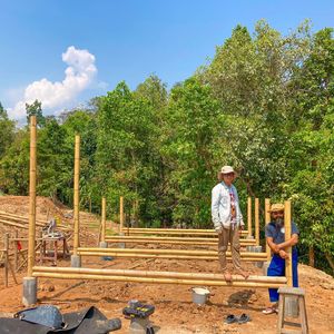 Pôles en bambou structurel en gros |   Traitement robuste |   Pour la construction, gazebo, pergola - Product Image 3