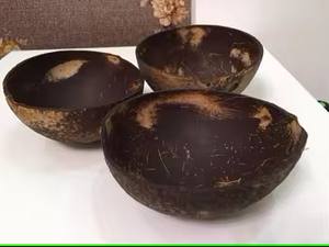 <b>Coconut</b> <b>Bowl</b> Carving Natural Low MOQ Customized Logo Polished <b>Coconut</b> Spoon Eco Friendly Long Lasting <b>Coconut</b> Shell <b>Bowl</b> - Product Image 4